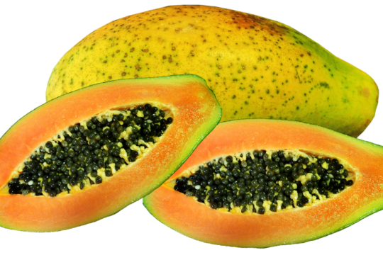 papaya vs pawpaw