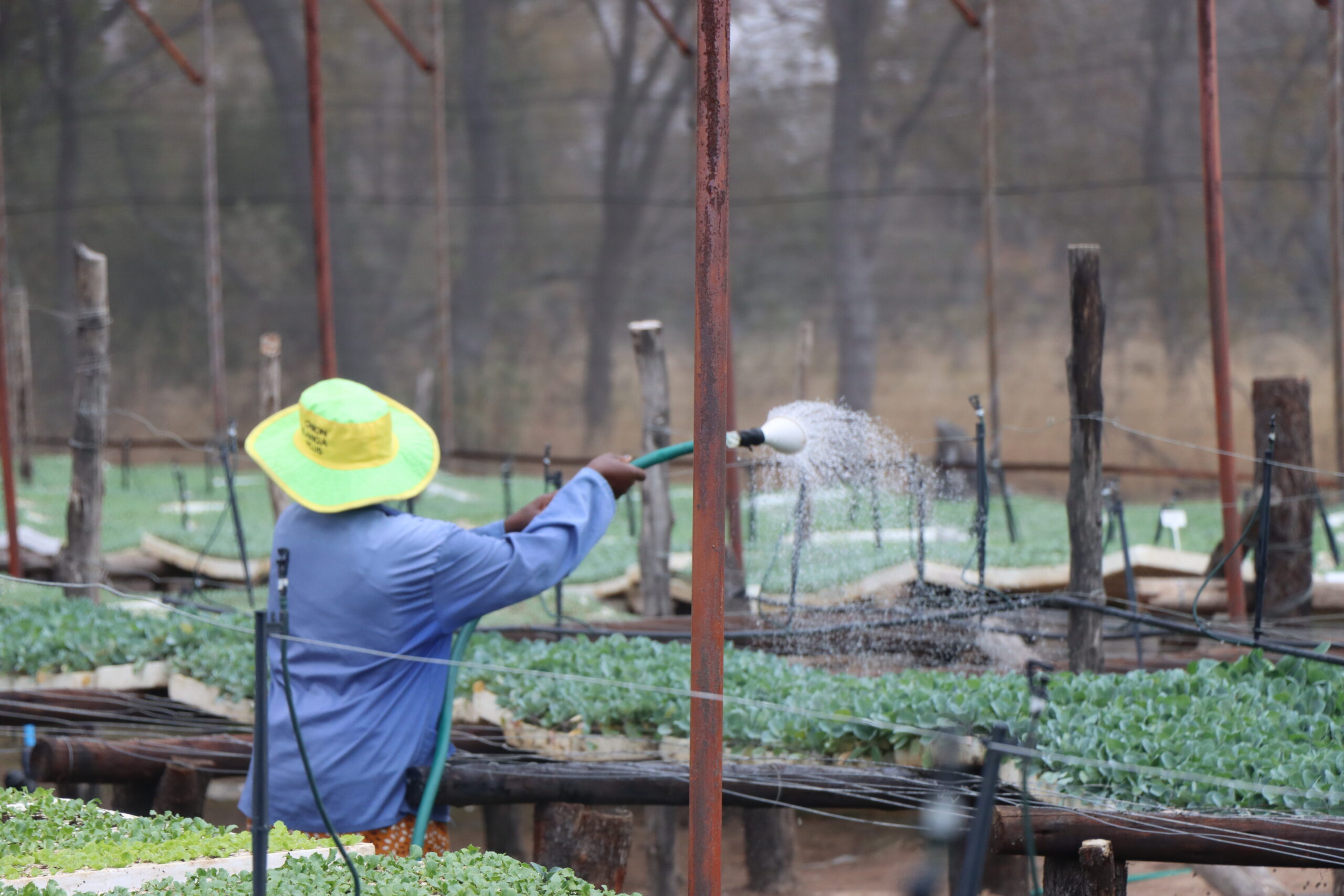 Farm Workers - Perissos Brooks